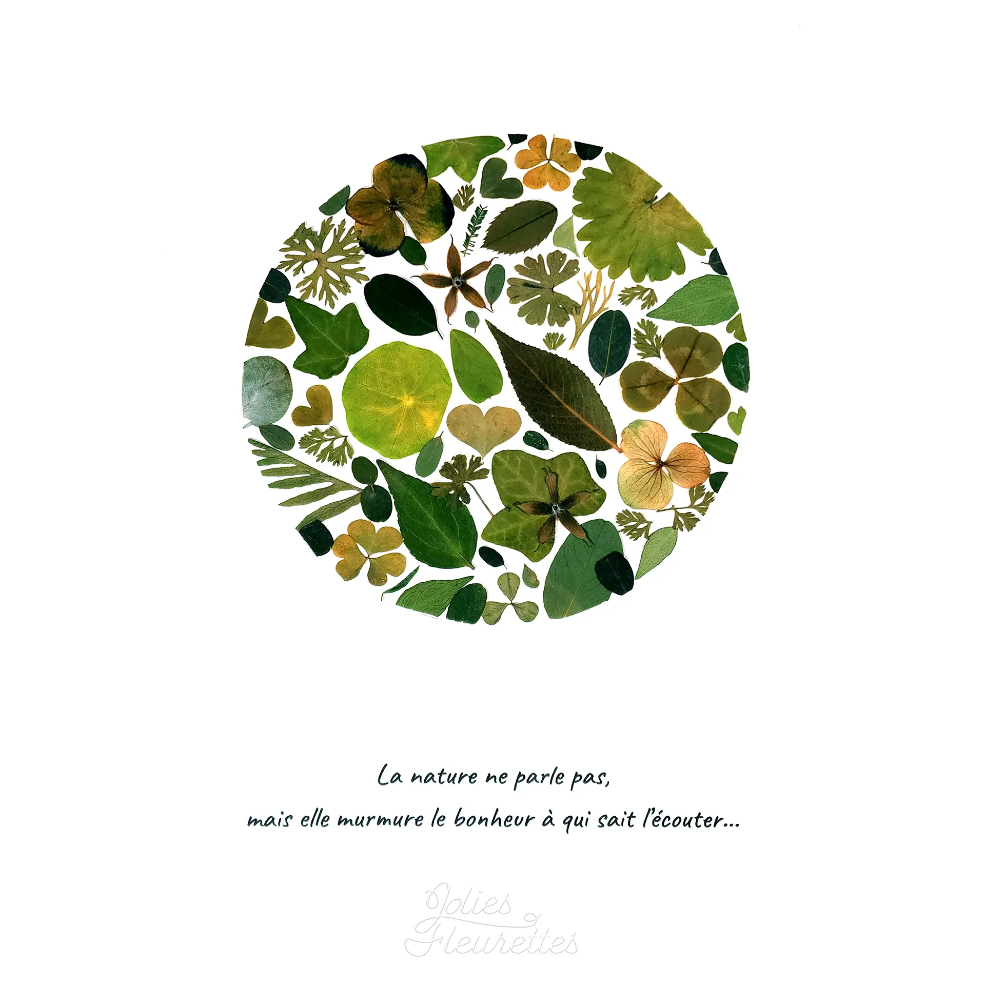 pleine lune verte de feuillages pressées avec citation inspirante