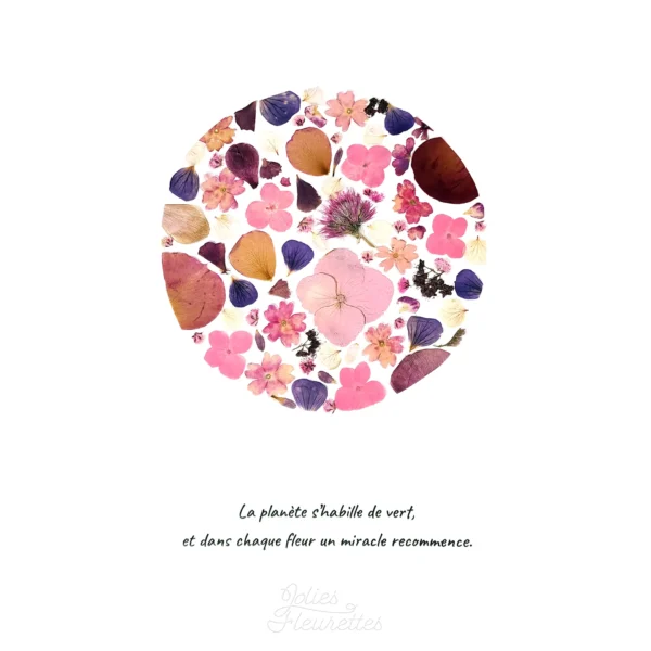 plein lune rose hortensia, rose en herbier avec citation inspirante