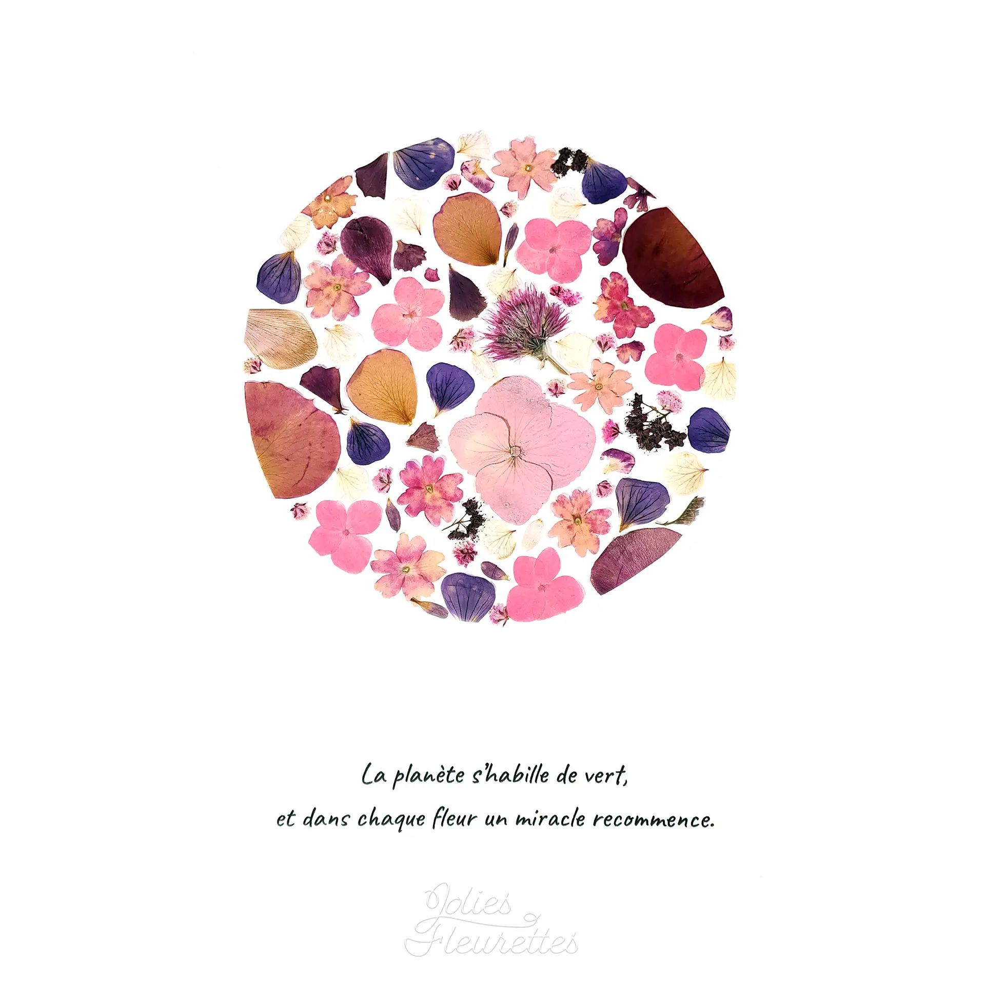 plein lune rose hortensia, rose en herbier avec citation inspirante