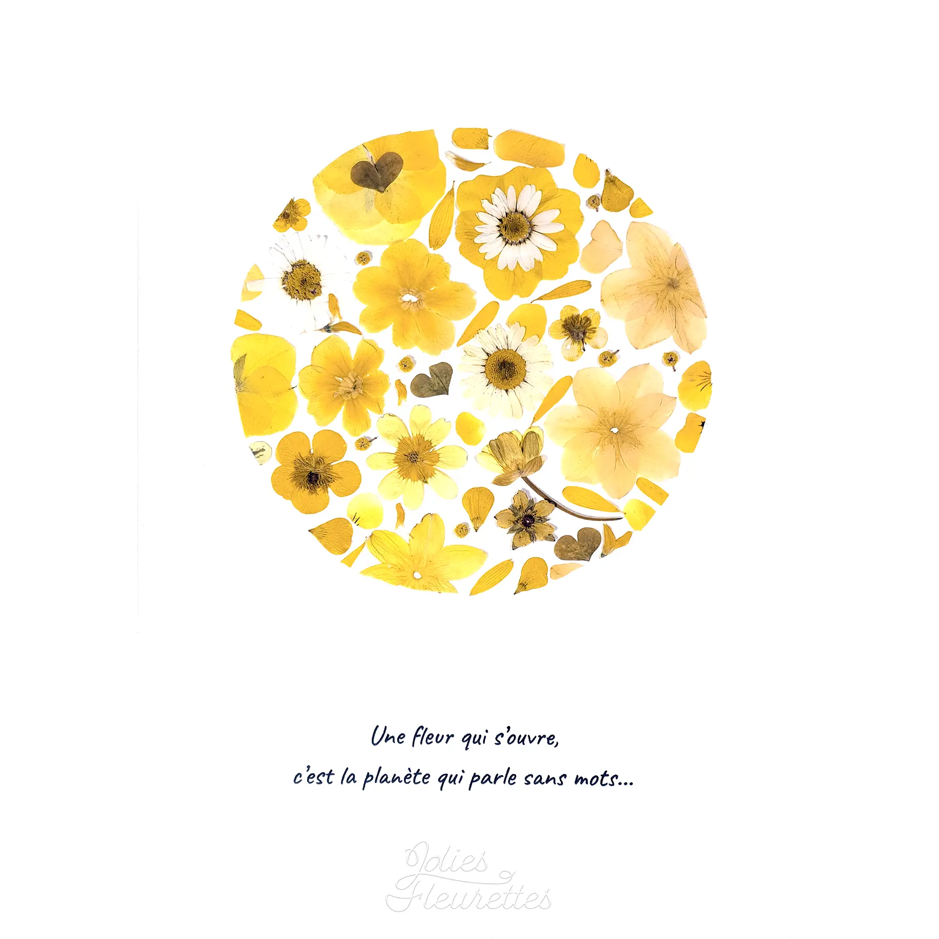 sphère jaune et blanche en fleurs pressées, type rond plein avec citation inspirante