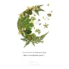 Création d’herbier demi lune verte et végétale illustrée d’une citation poétique