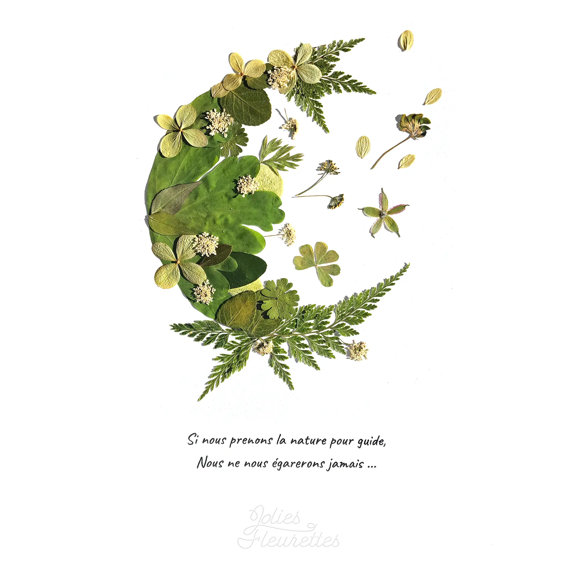 Création d’herbier demi lune verte et végétale illustrée d’une citation poétique
