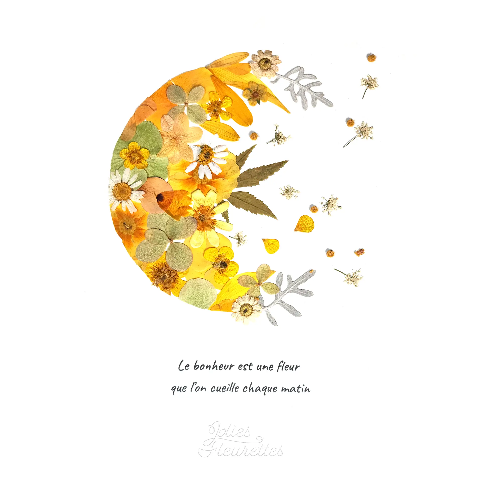Herbier floral en forme de lune aux fleurs pressées jaunes