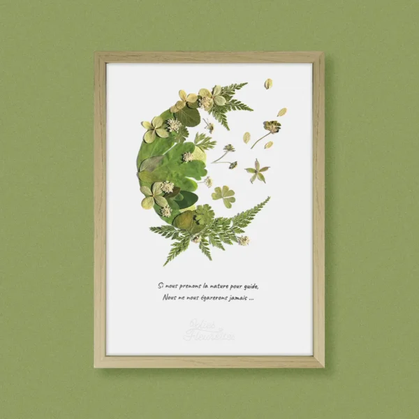 Composition florale pressée en lune ouverte de couleur verte, style naturel et végétal