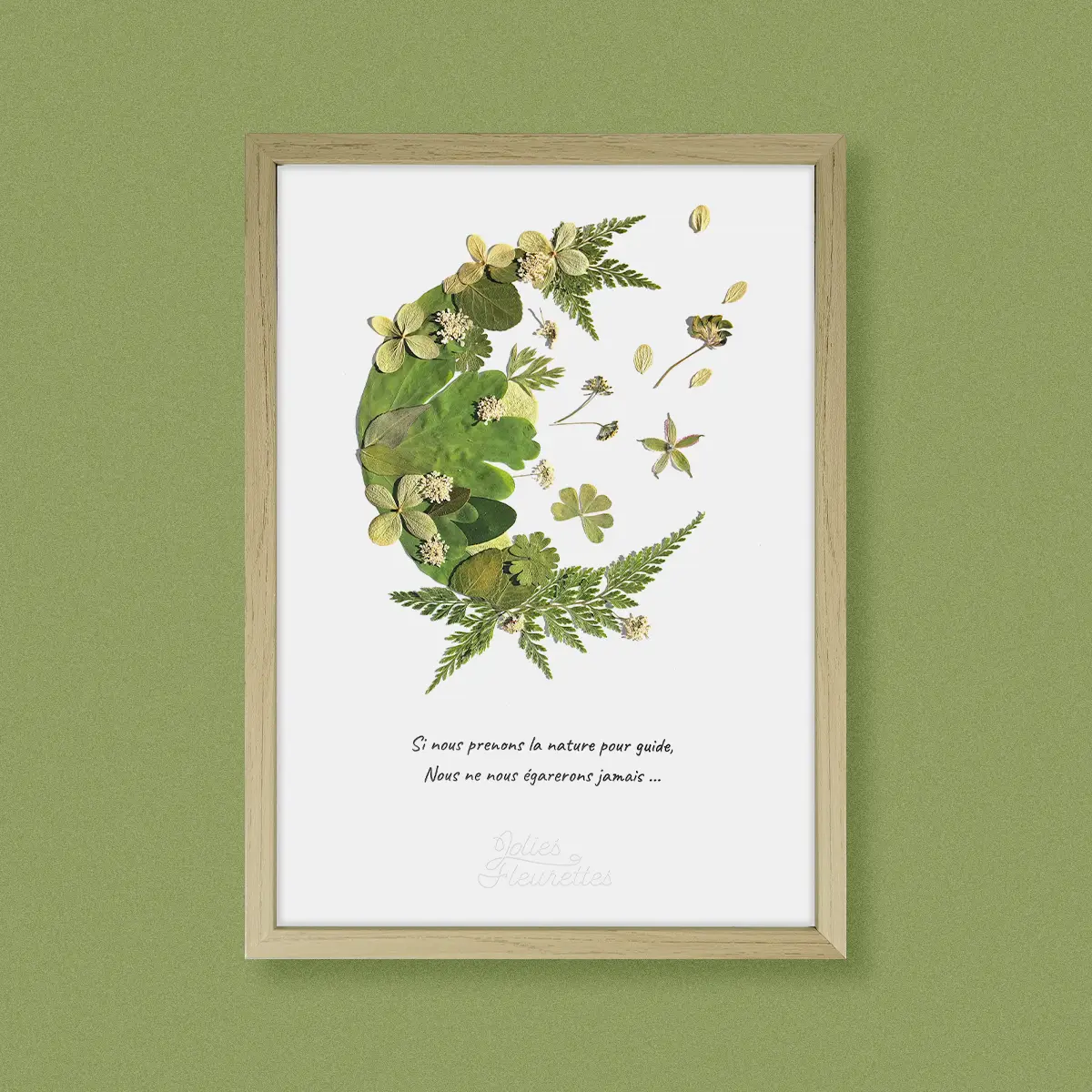 Composition florale pressée en lune ouverte de couleur verte, style naturel et végétal