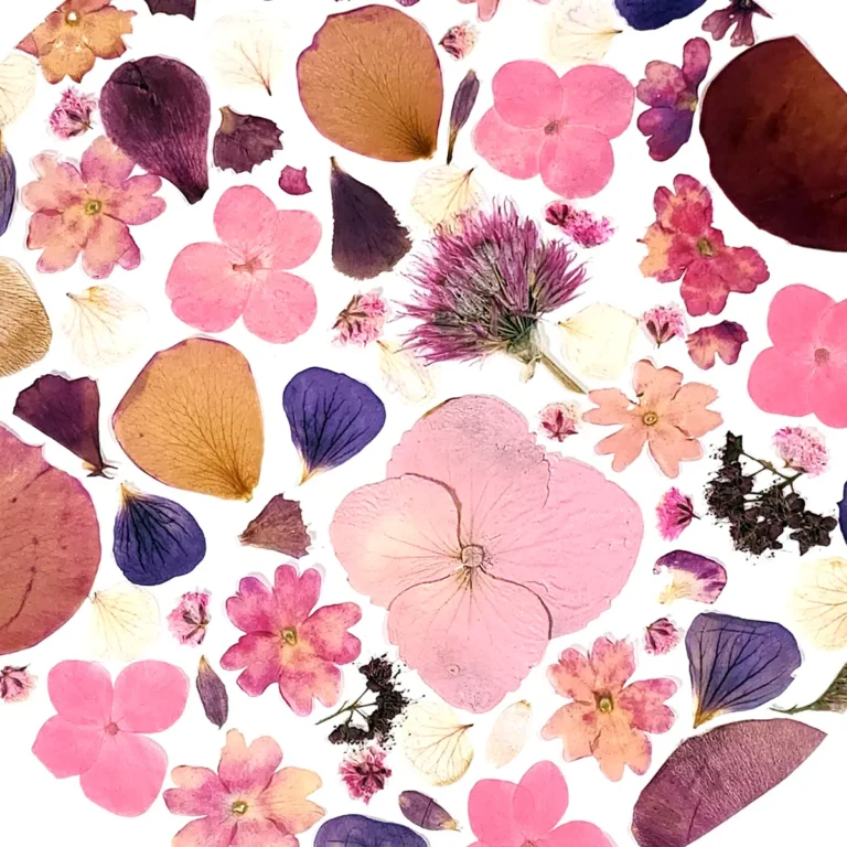 patchwork de fleurs pressées dans les tons roses comme une peinture