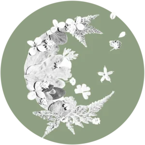 forme lune ouverte comme une envolée naturelle possible en couleur rose, bleu, verte et jaune ou sur mesure pour plus de poésie