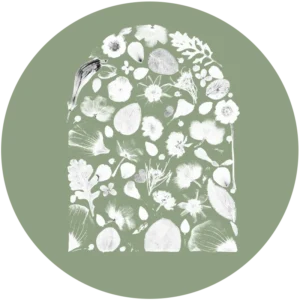 herbiers uniques, sur mesure, personnalisables de différentes formes et de différentes tailles et différentes couleurs