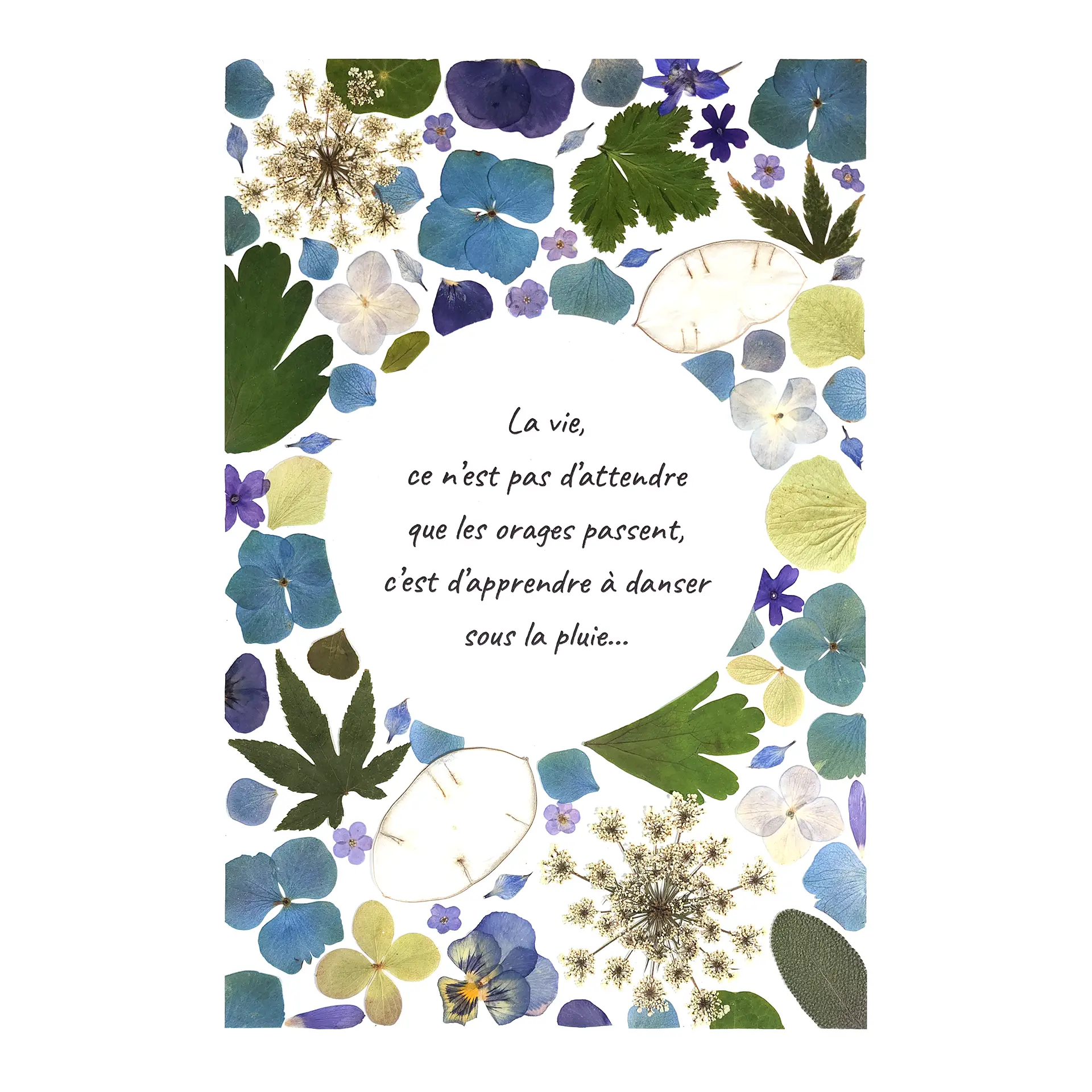 Création d'un herbier de fleurs bleues, ajouré et illustré d’une citation poétique en son centre