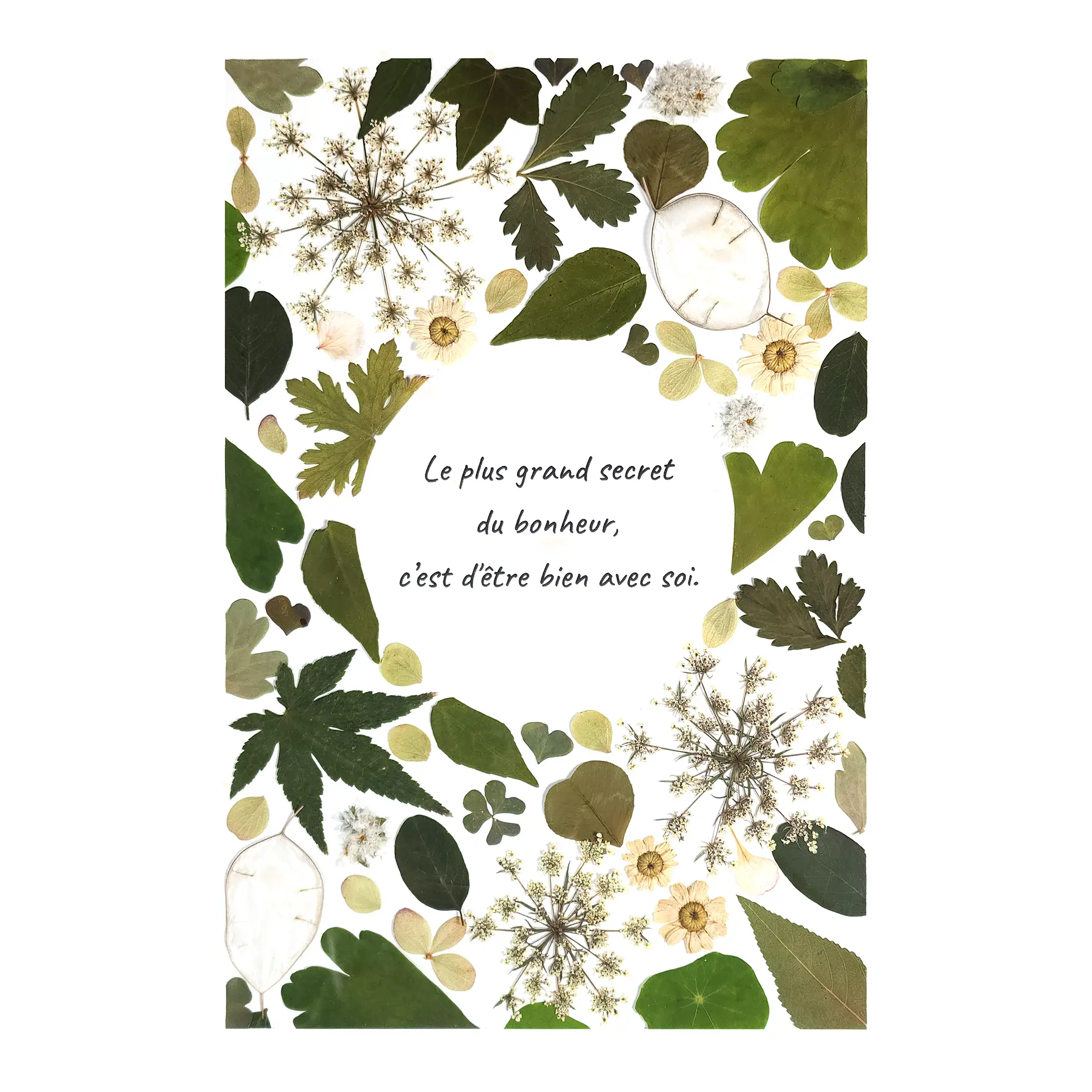 Création d’herbier de feuillage et fleurs vertes ajouré et illustré d’une citation poétique en son centre