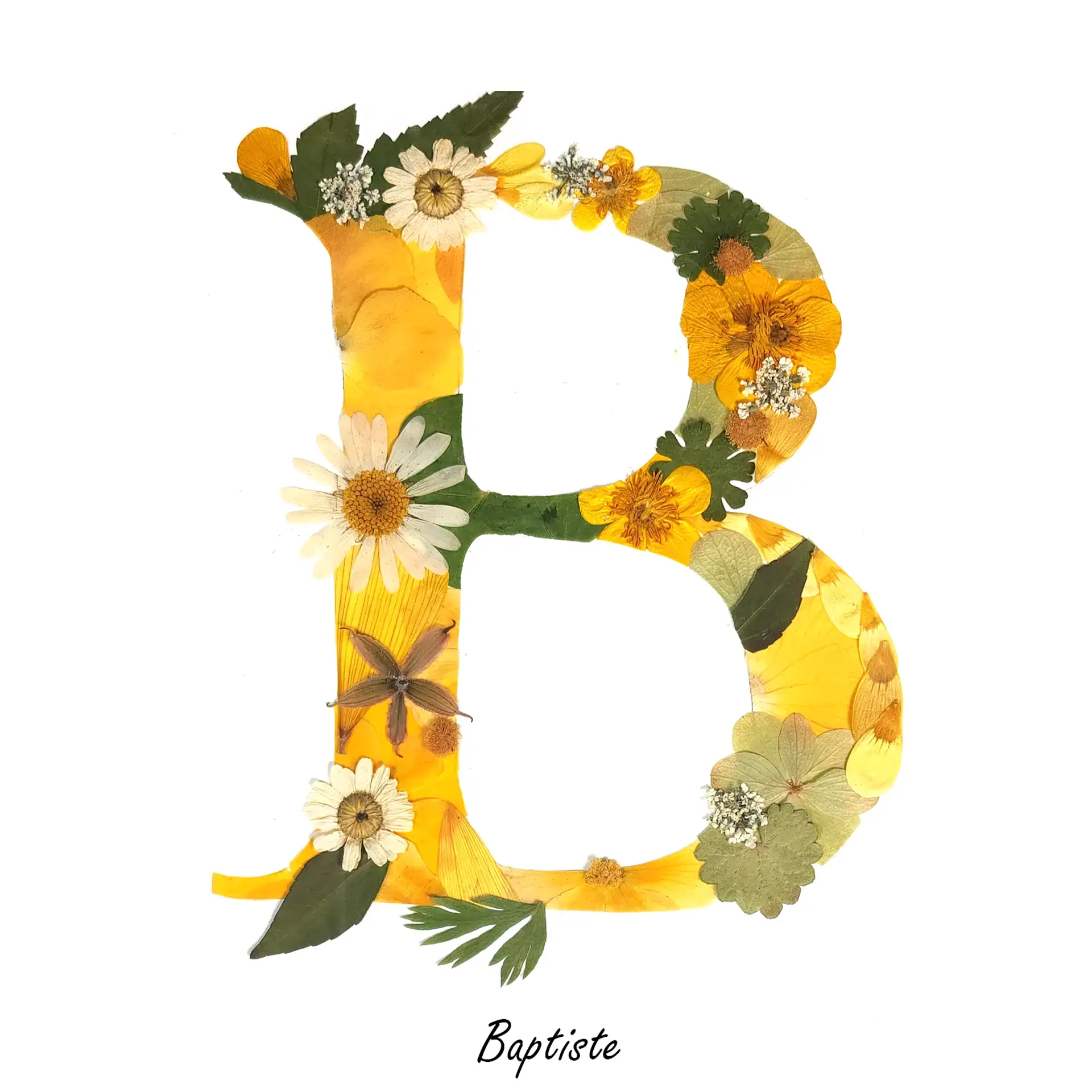 herbier de la lettre B aux teintes lumineuses et solaires