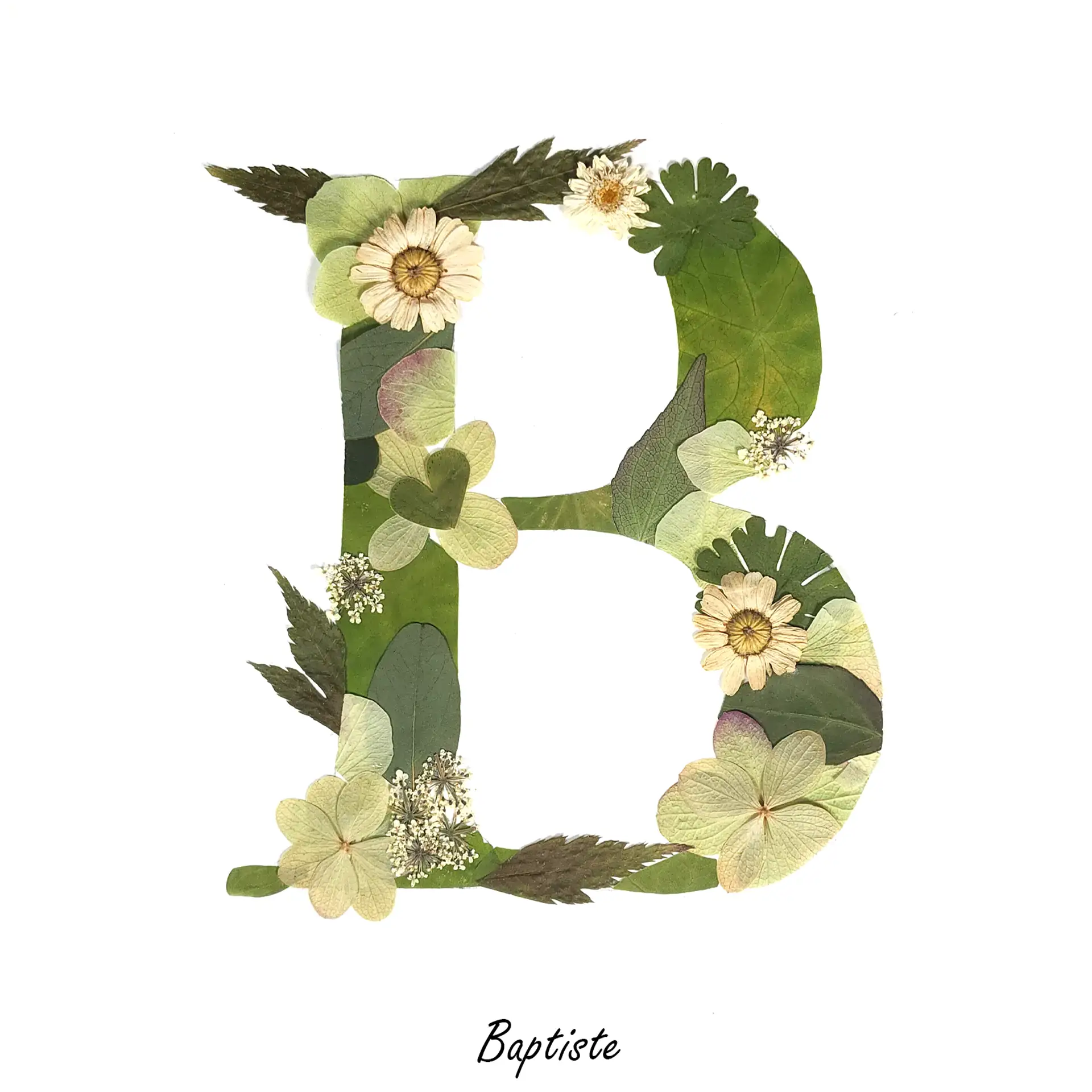 lettre en herbier de couleur verte et crème, esprit nature et végétale