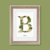 cadre bois clair avec herbier lettre B vert et nature en intérieur