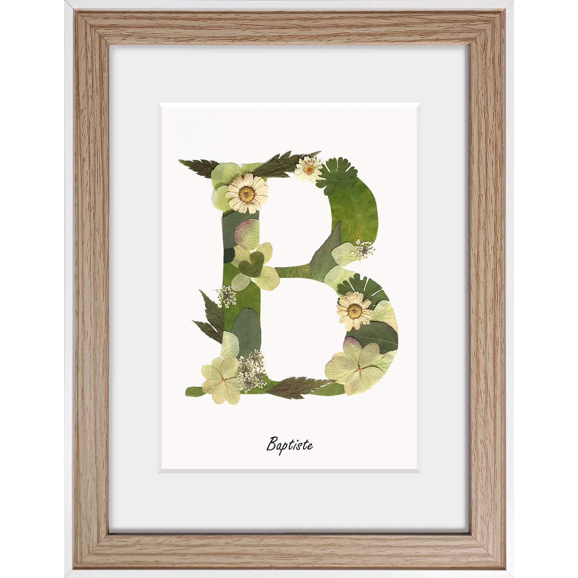 lettre en herbier de couleur verte et écru, thème végétal et naturel