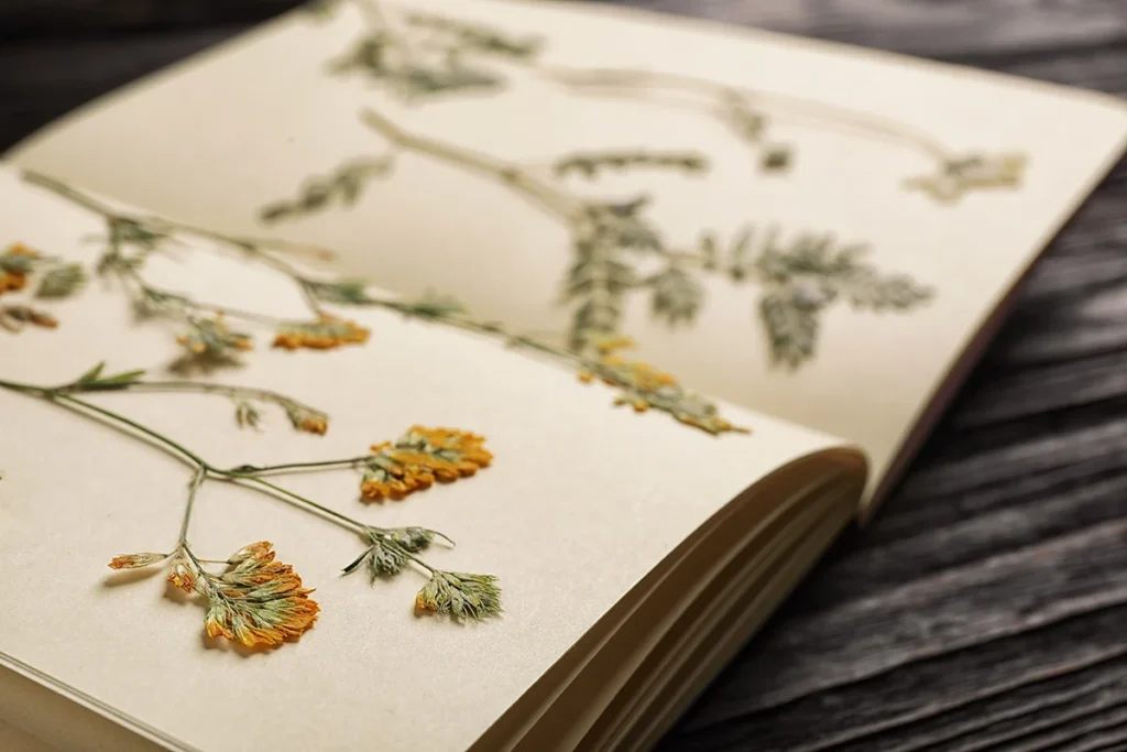 herbier botanique