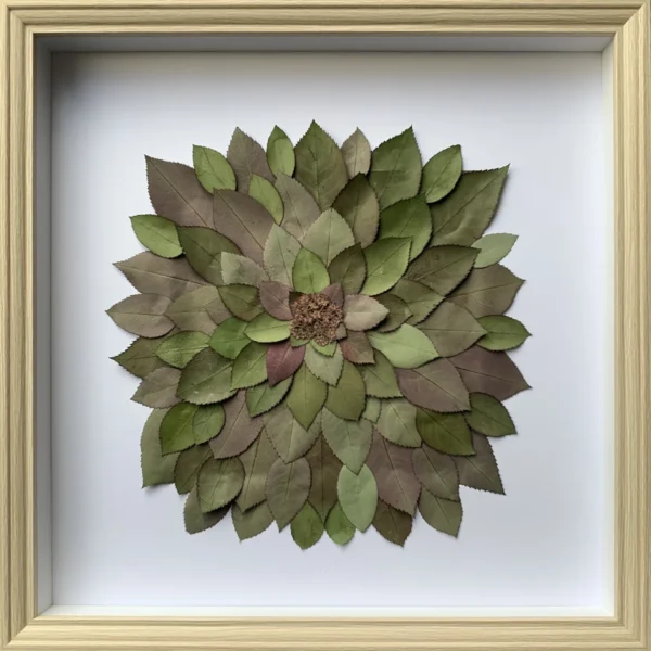 herbier de feuilles