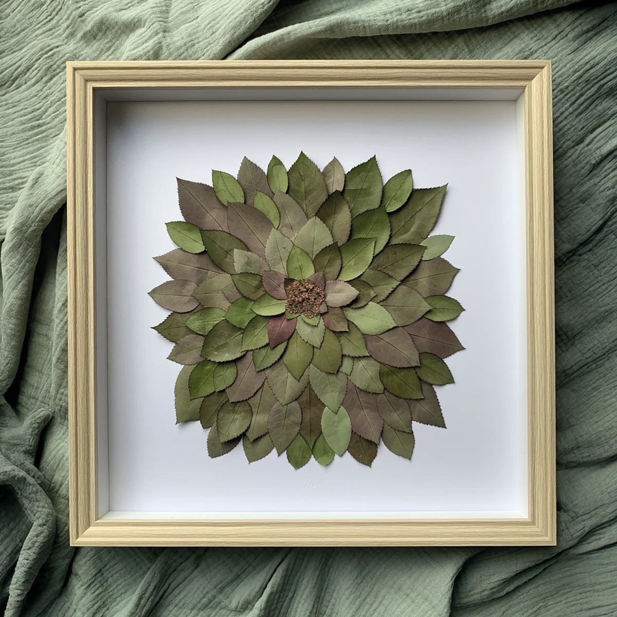 herbier de feuilles 02