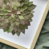 herbier de feuilles 03