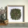 herbier de feuilles 04