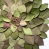 herbier de feuilles 05