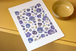 herbier de fleurs pensées