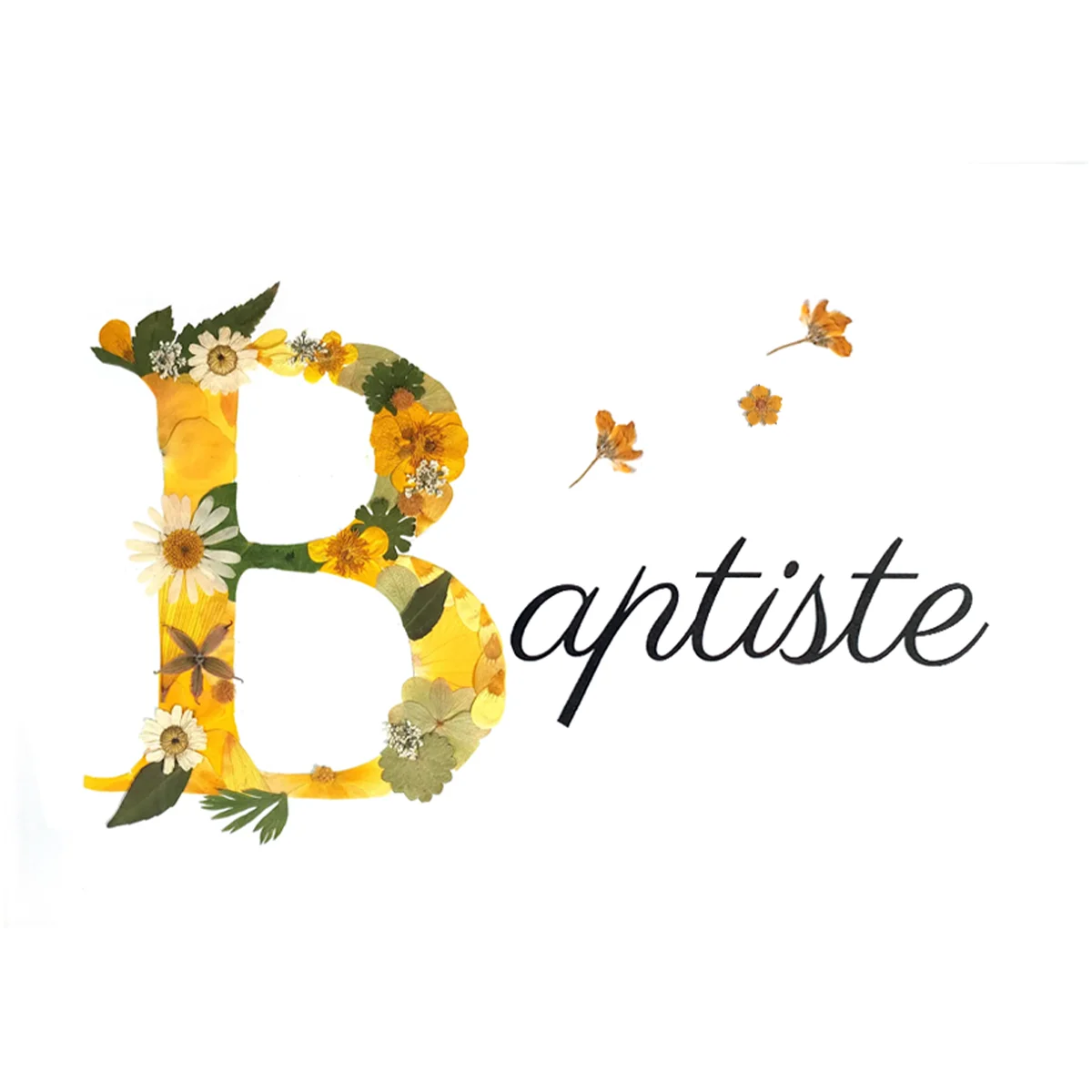 herbier prenom jaune