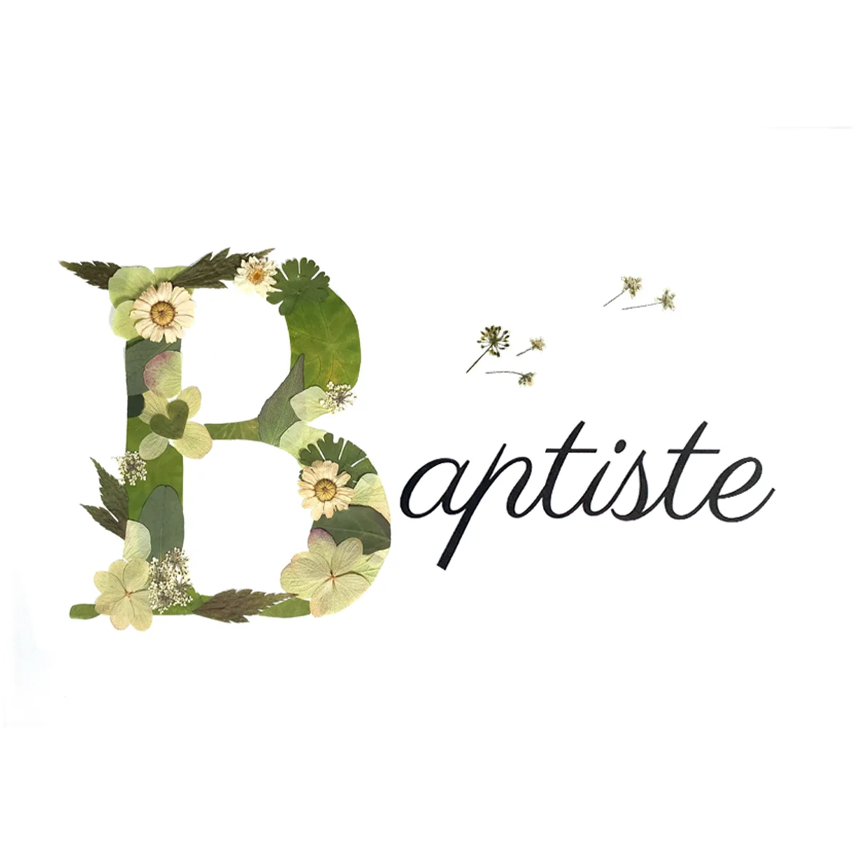 herbier prenom vert